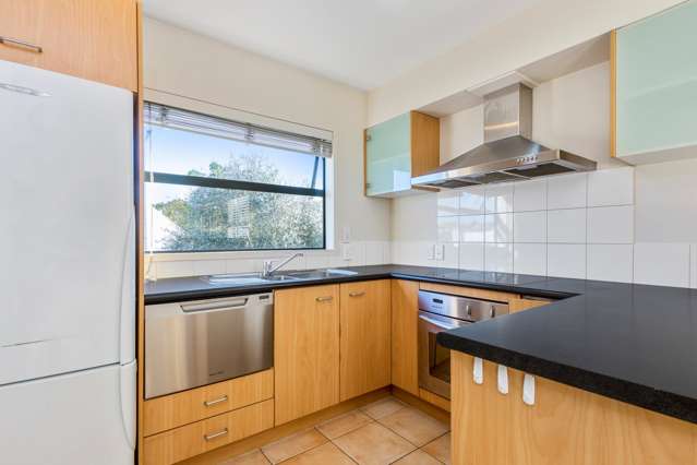 3a Laxon Terrace Remuera_2