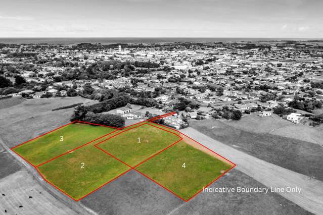 42 Douglas Street Hawera_1