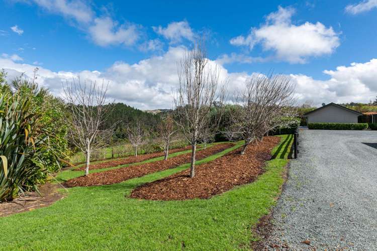 1093b Pohuehue Road Warkworth_30