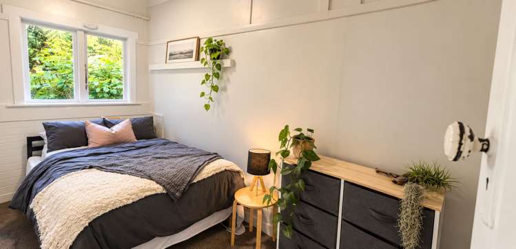 6 Semeloff Terrace Aro Valley_5