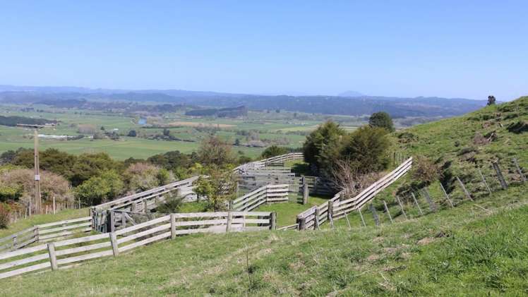 471b Taneatua Road Taneatua_19