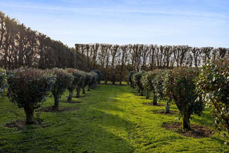 16 Arthur Road Paraite_16