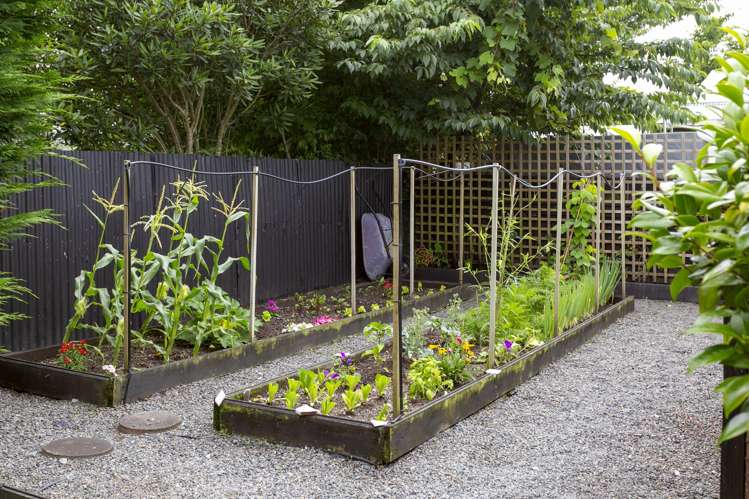 50 Te Hatepe Ave Taupo Central_6