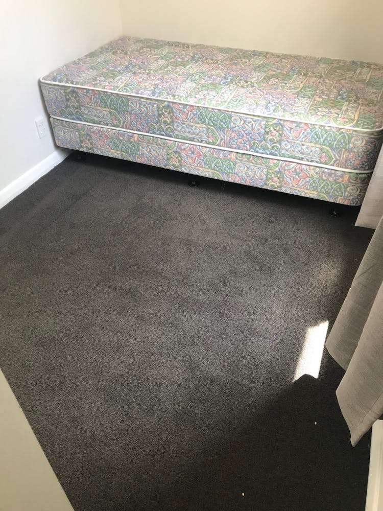 75 Constable Street Newtown_5