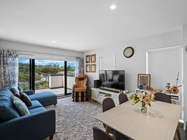 17 Akeake Lane Albany Heights_3