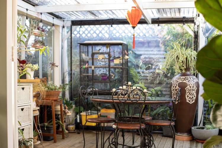 35 Government Road Raglan_9