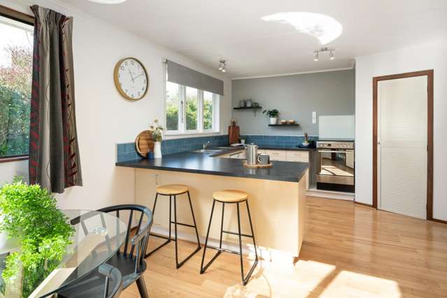10 Anglesea Street Renwick_1