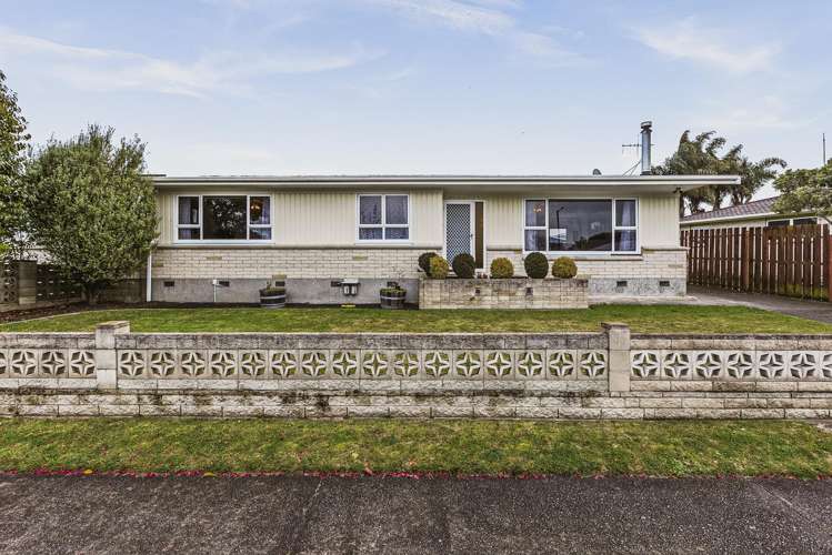 31 Plunket Street Tamatea_14