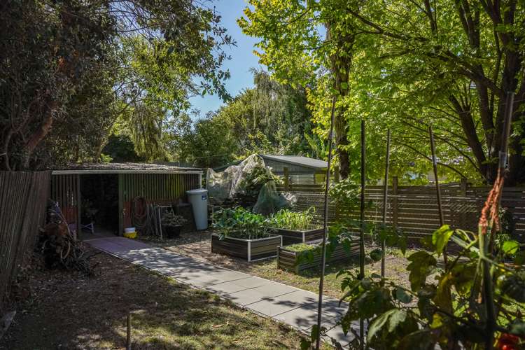 459 Waimea Road Enner Glynn_17