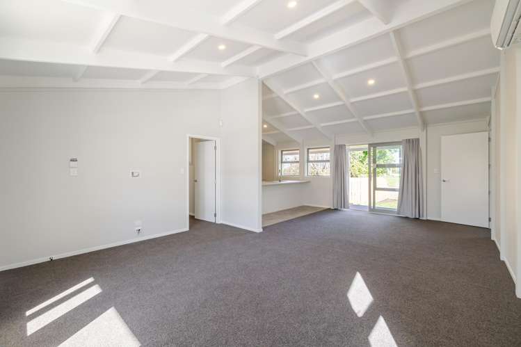 7 Fagan Street Bulls_9