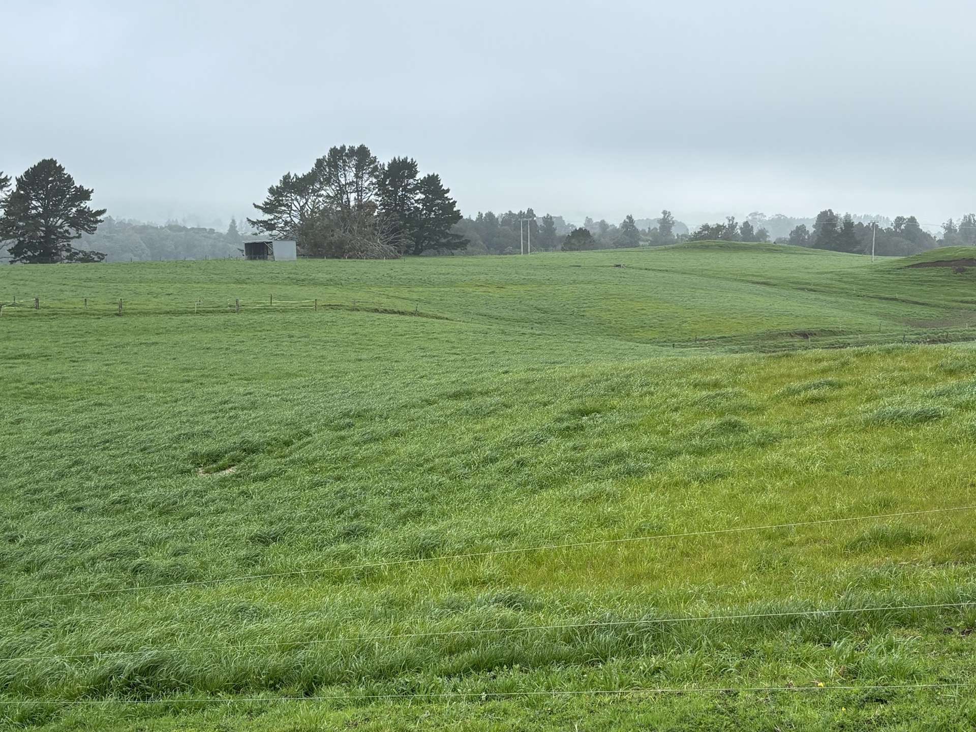 163 Ohanga Road Onaero_0