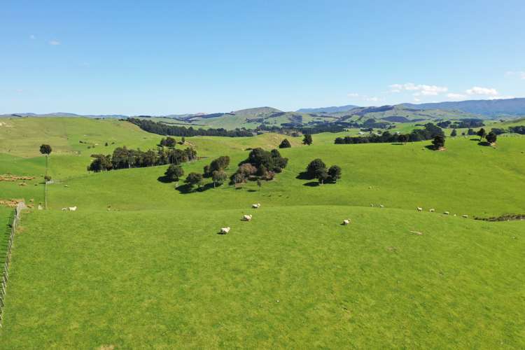 275 Akaroa Road Pongaroa_14