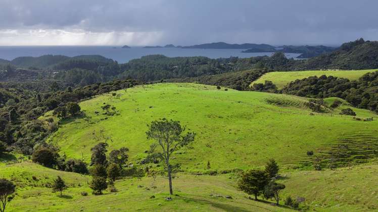 1070a Wainui Road Kaeo_4