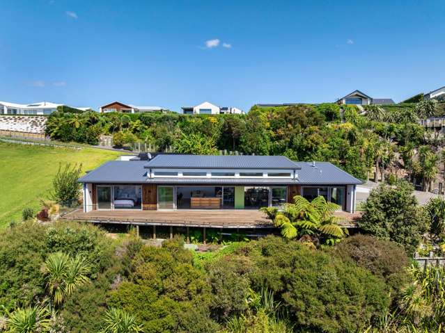 International style, kiwi coastline