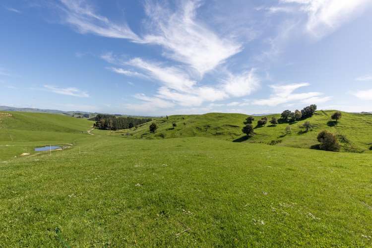 26 Carlson Road Dannevirke_4