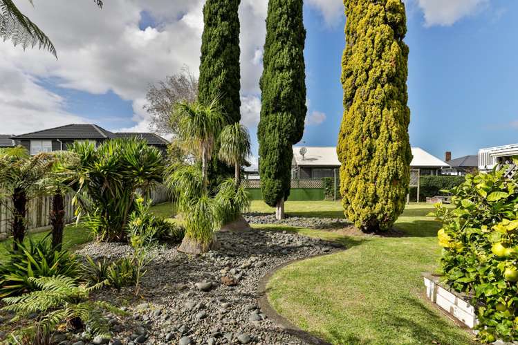 31 Oakley Avenue Waterview_29