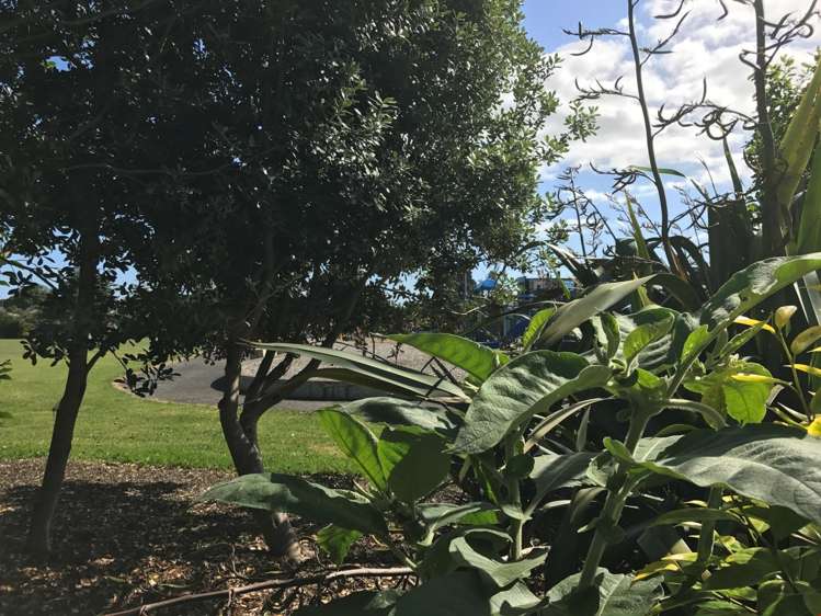 2/19 Harwood Road Mount Wellington_7