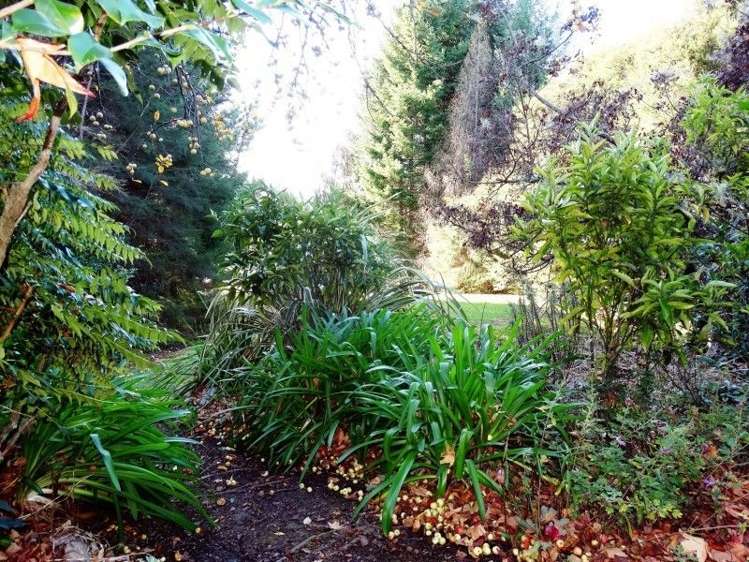 9 Little Sydney Road Motueka_17