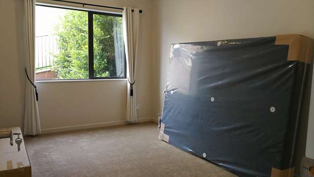 65 Golden Morning Drive Albany Heights_4