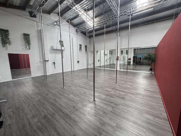 25 Carlyle Street Napier South_7