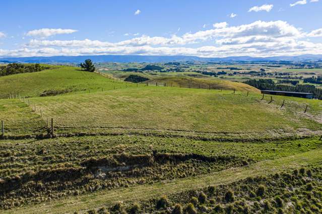 194 Whakapirau Road Maraekakaho_3