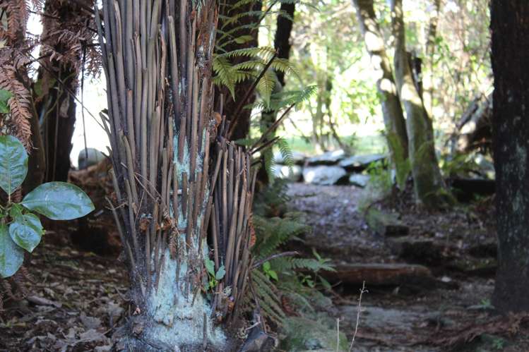 153 Weld Street Hokitika_25