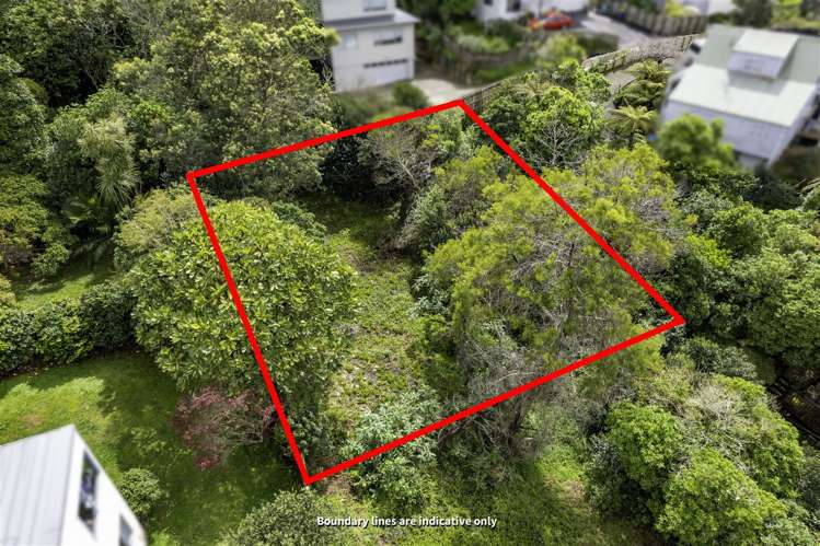 3/796 Beach Road Browns Bay_0