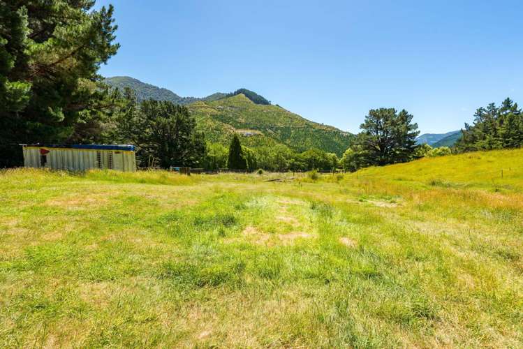 477 Wakamarina Road Canvastown_13