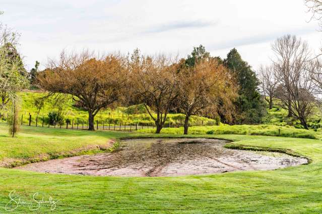 16 Nikau Lane Maungaturoto_2