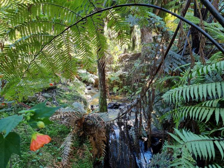 131 Harbutt Road Cambridge_12