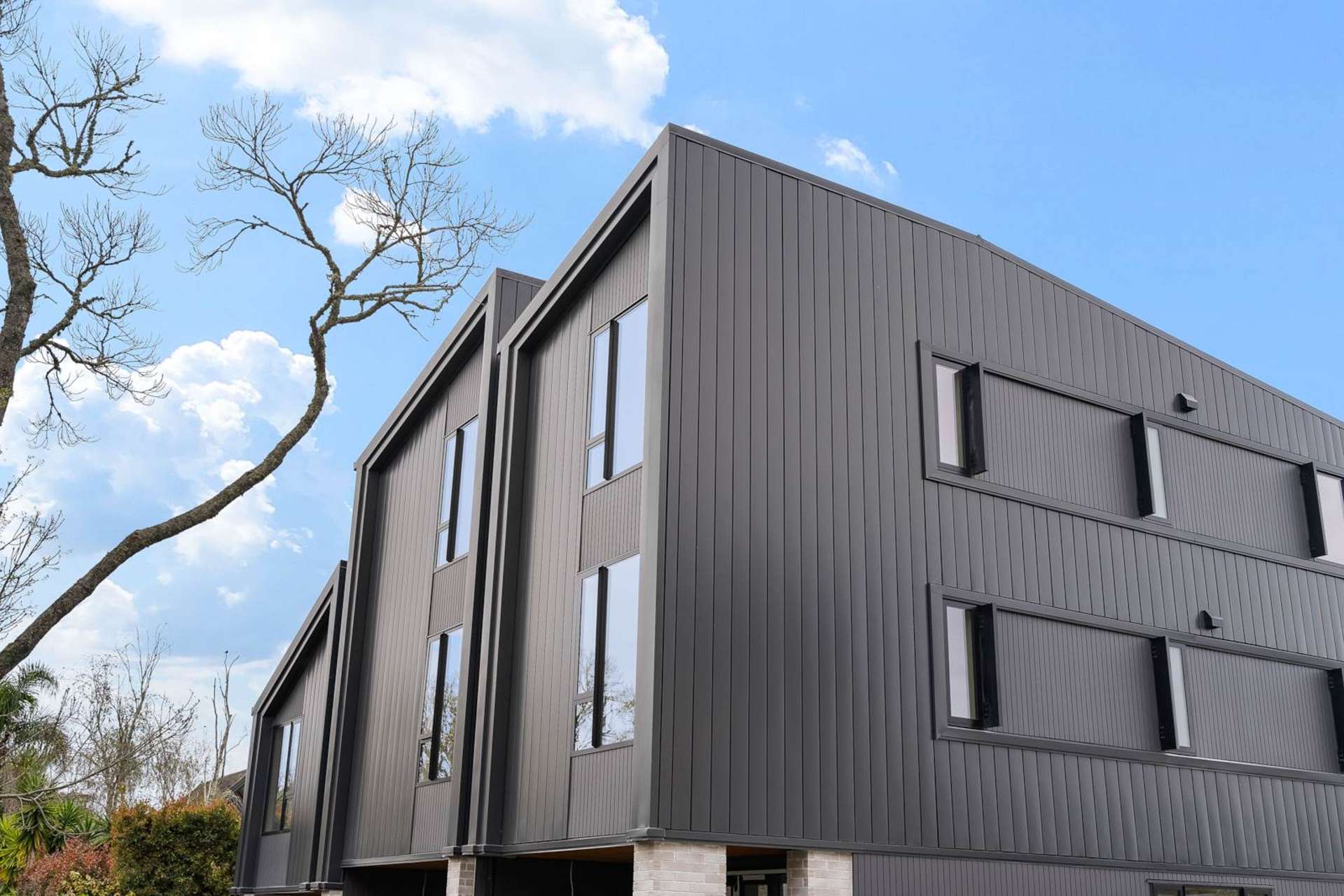 24C Sierra Street Glendowie_0