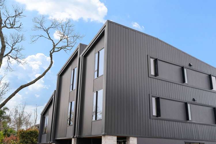 24C Sierra Street Glendowie_0