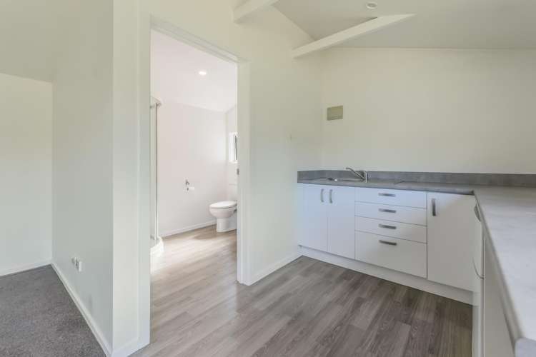 297 Nayland Road Stoke_5