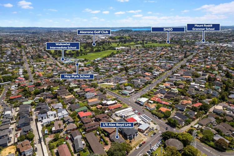 1/5 Alex Boyd Link Hillsborough_20