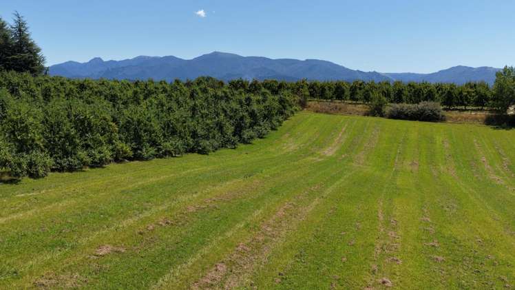 Lot 1/86 Eden Road Tasman_6