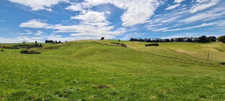 286 Brydone Glencoe Road Gore Surrounds_12