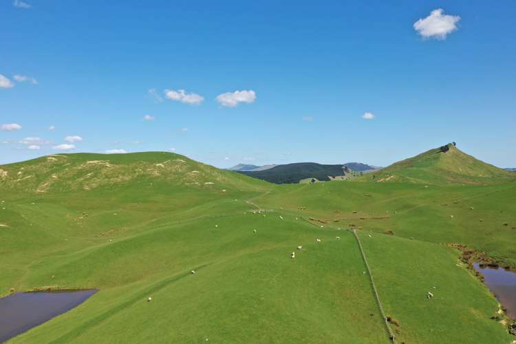 275 Akaroa Road Pongaroa_6