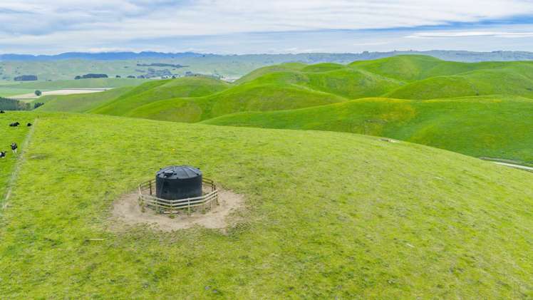 Te Huka Block, Aupaki Block and Panapa Block Poukawa_8
