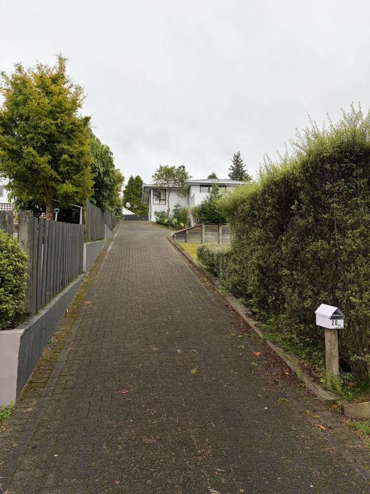 20 Nikau Street Springfield_11