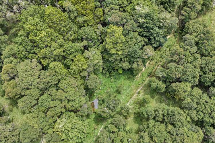 Pipiwai Road Purua_31