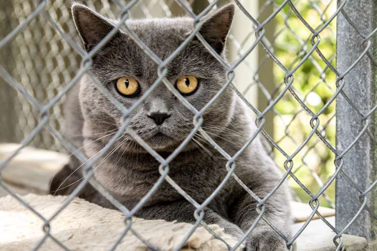 208 Mapara Road Acacia Bay_32