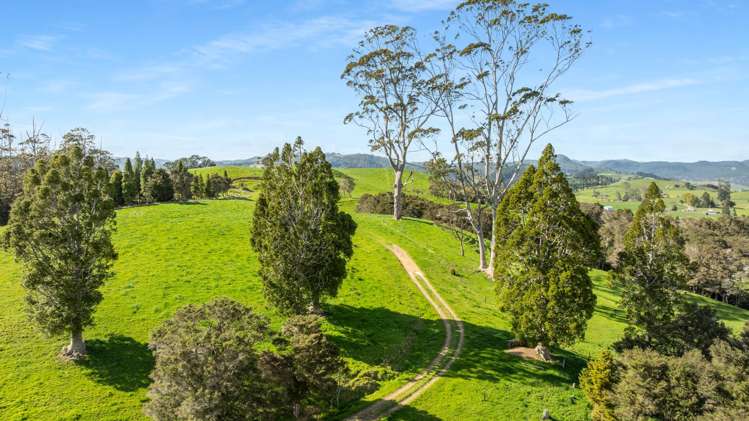 90 Camp Road, Coroglen Tairua_25
