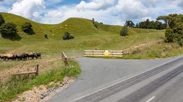 Lot 1/1097 Waingaro Road Glen Massey_4