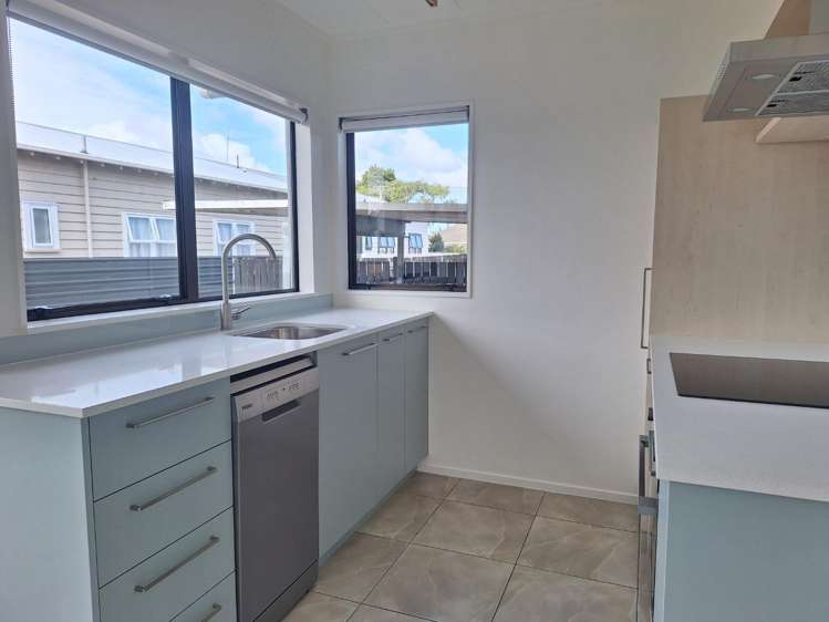 11a Riversdale Road Avondale_4