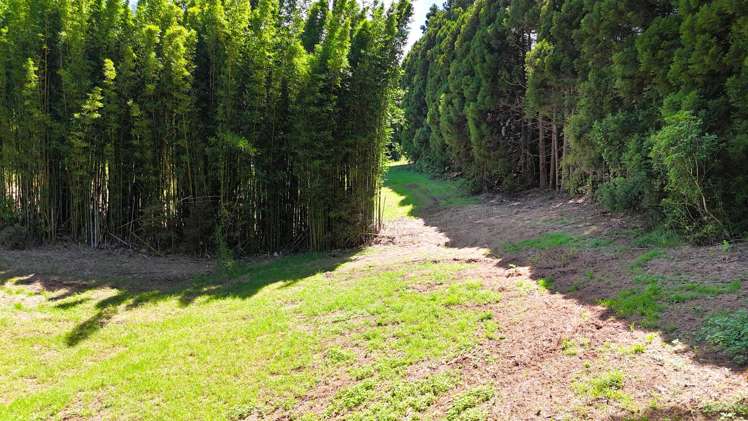 34 Cottle Hill Drive Kerikeri_9