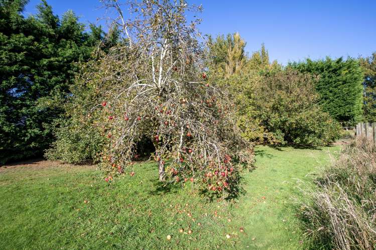 109 Marshalls Road Springston_43