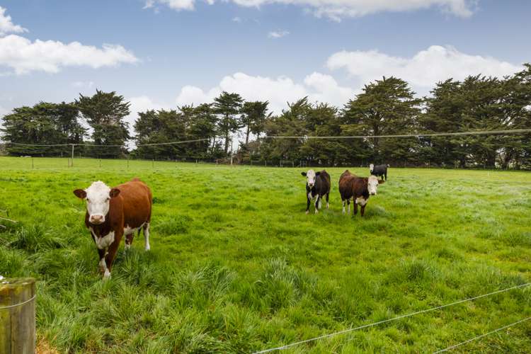 673 Penny Road Rongotea_24