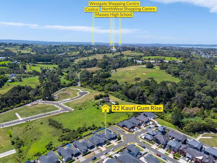 22 Kauri Gum Rise Swanson_27