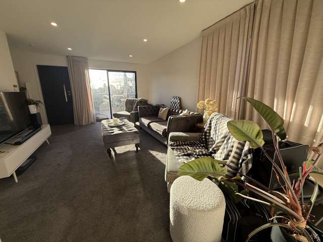 30b Stewart Rd Mount Albert_1