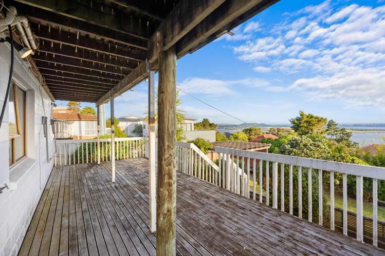 322A Hillsborough Road Mount Roskill_30